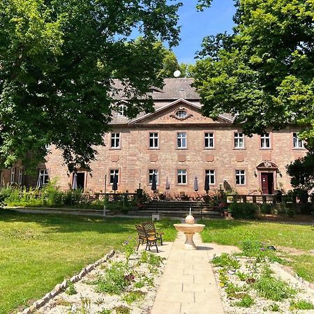 Schloss Zingst Querfurt Exteriör bild