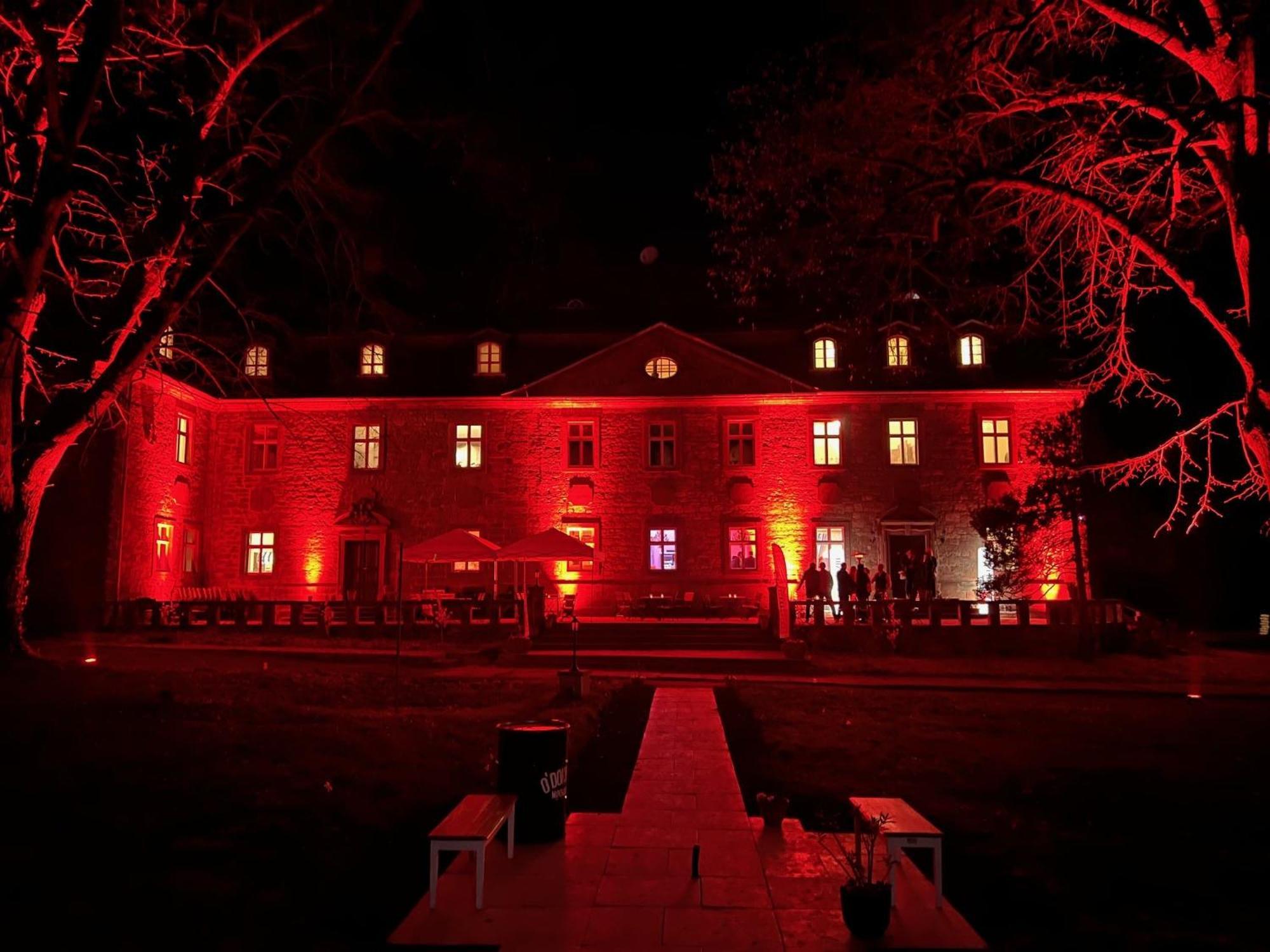 Schloss Zingst Querfurt Exteriör bild